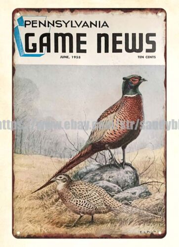 Hunting Quail - 1958 quail pheasant hunting Pennsylvania Game