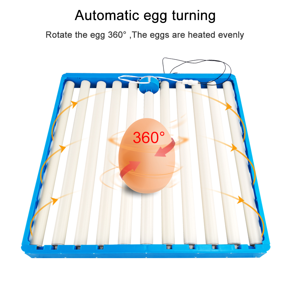 70 Eggs Incubator Automatic 36 - Hunting Quail ulasan dan harga